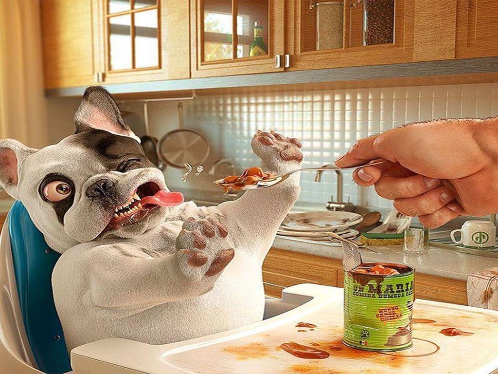 funny photoshop effects