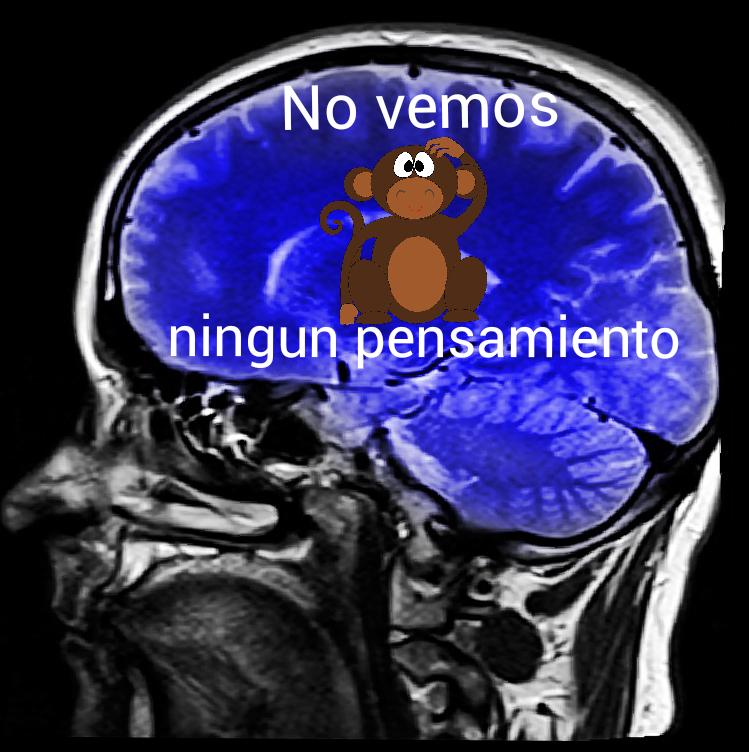 Detector Pensamiento Broma