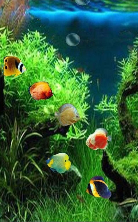 Note Edge Wallpapers