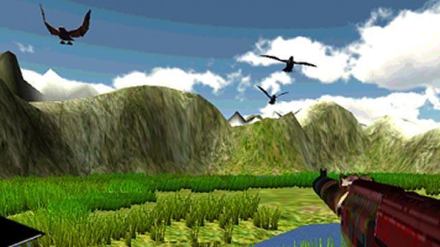 Birds Hunter