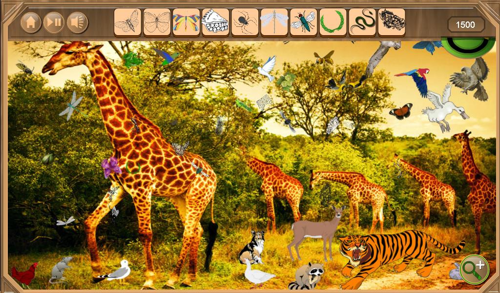 Safari Hidden Objects