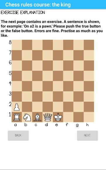 Chess rules part 2