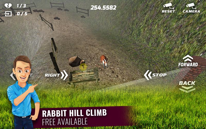 Cute Rabbits Game