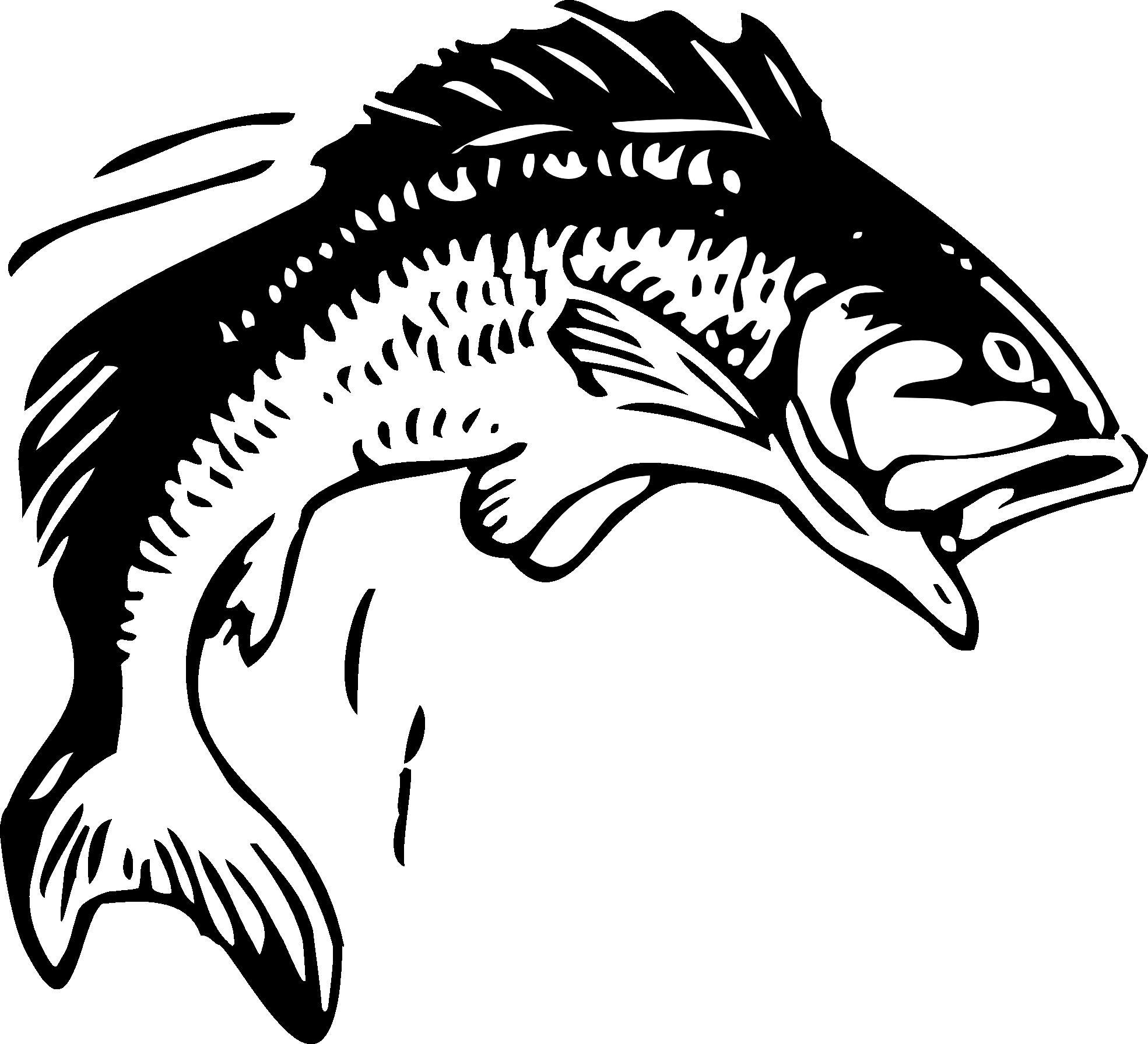 Real Fisher