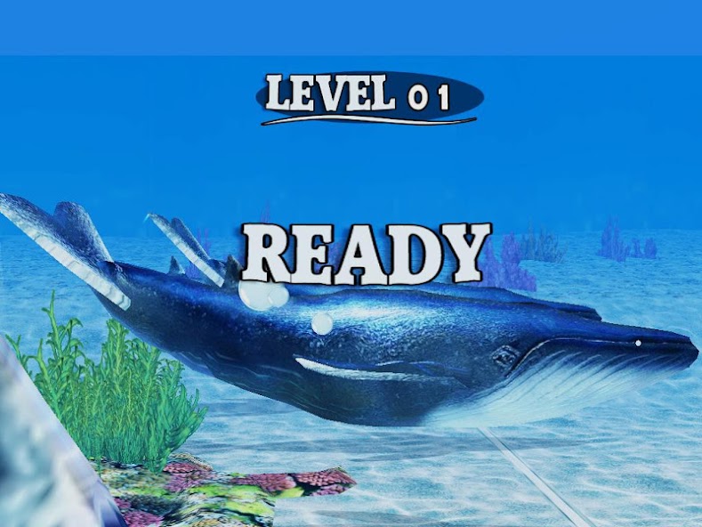 Fish Race