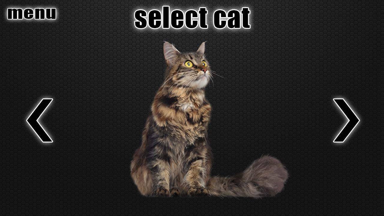 Laser Cat Joke