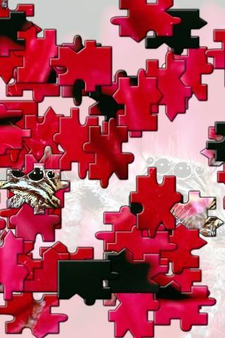 Owl Jigsaw Puzzle