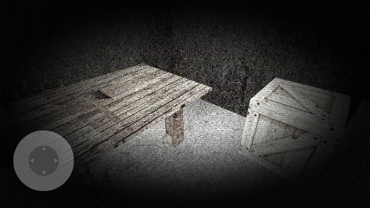 Silent House
