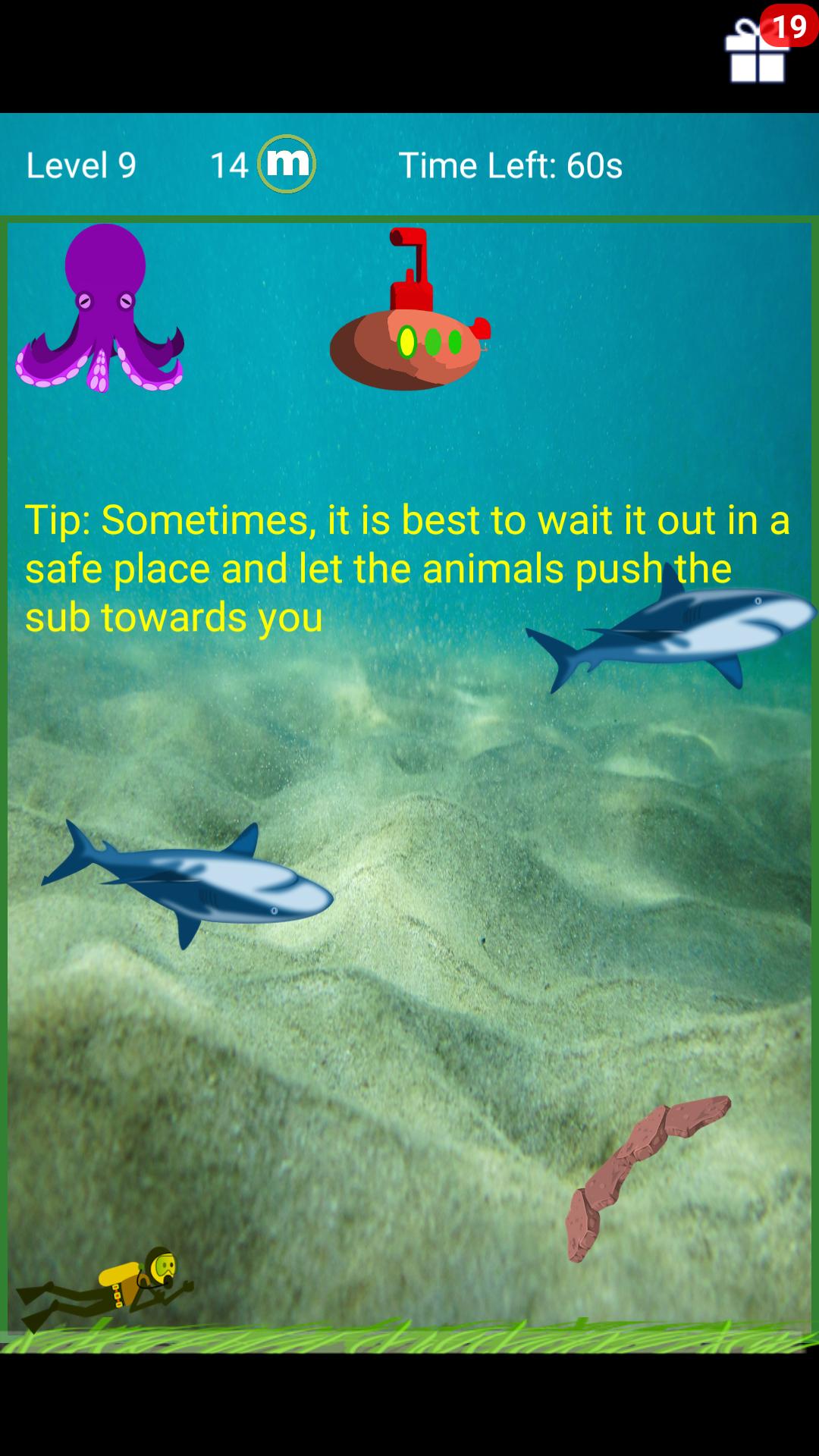 Fishy in the Water