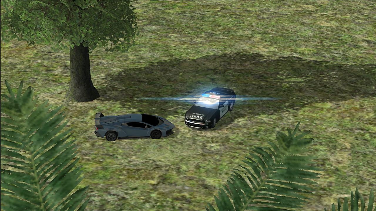 Fast Racing Car Driving