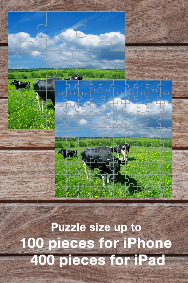 Jigsaw Speedy