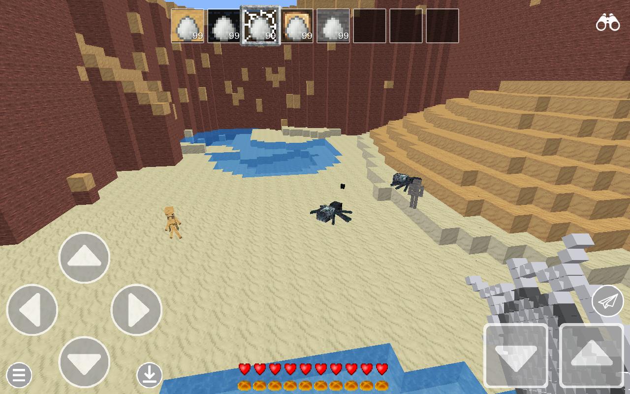 Safari Craft
