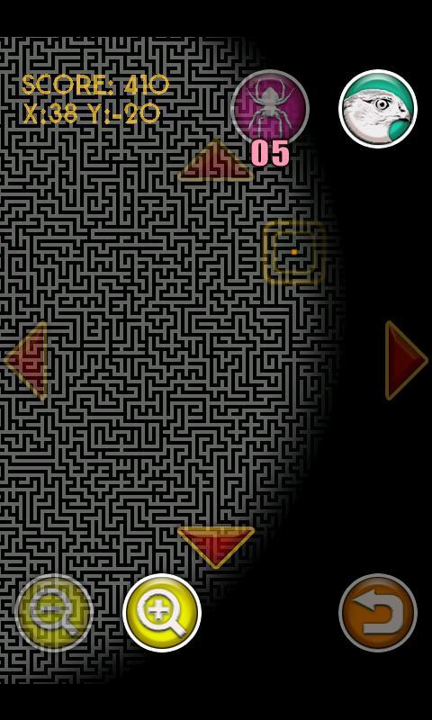 Huge Maze