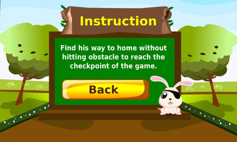 Lost Bunny