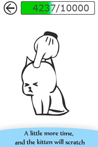 Angered Kitten