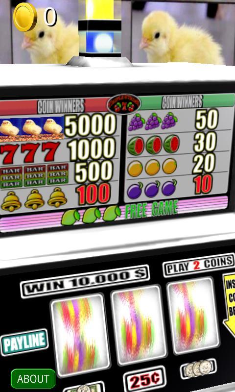 3D Baby Chick Slots - Free