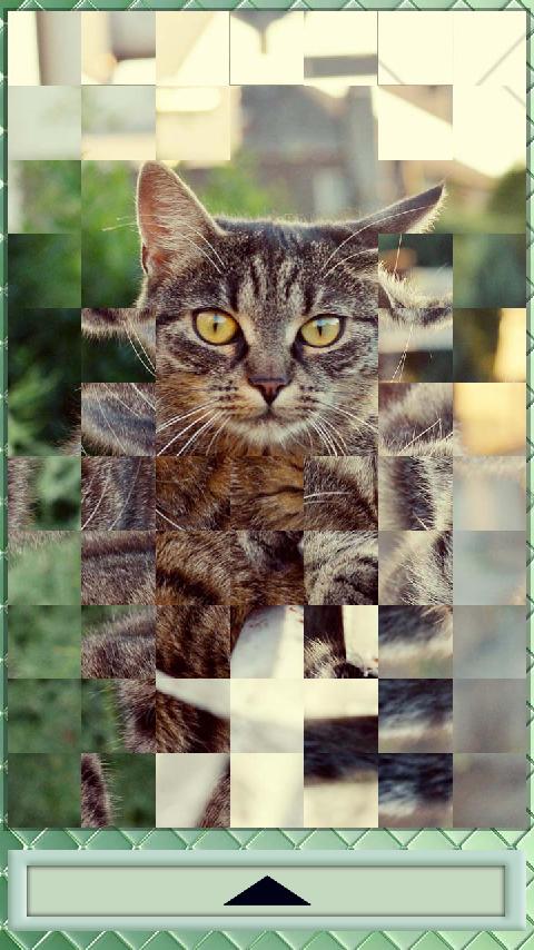 Puzzle Cats