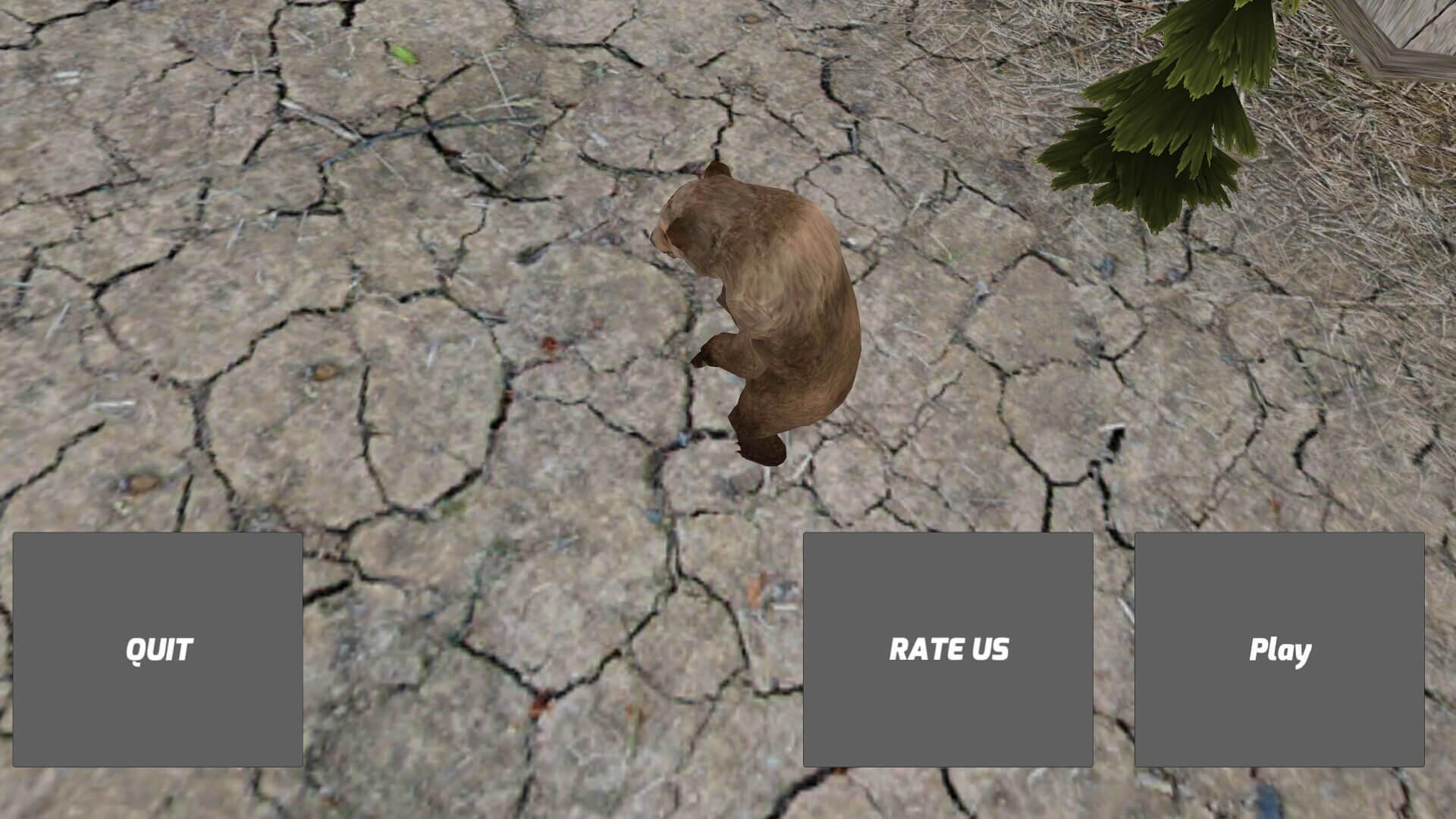 Bruin Bear Simulator