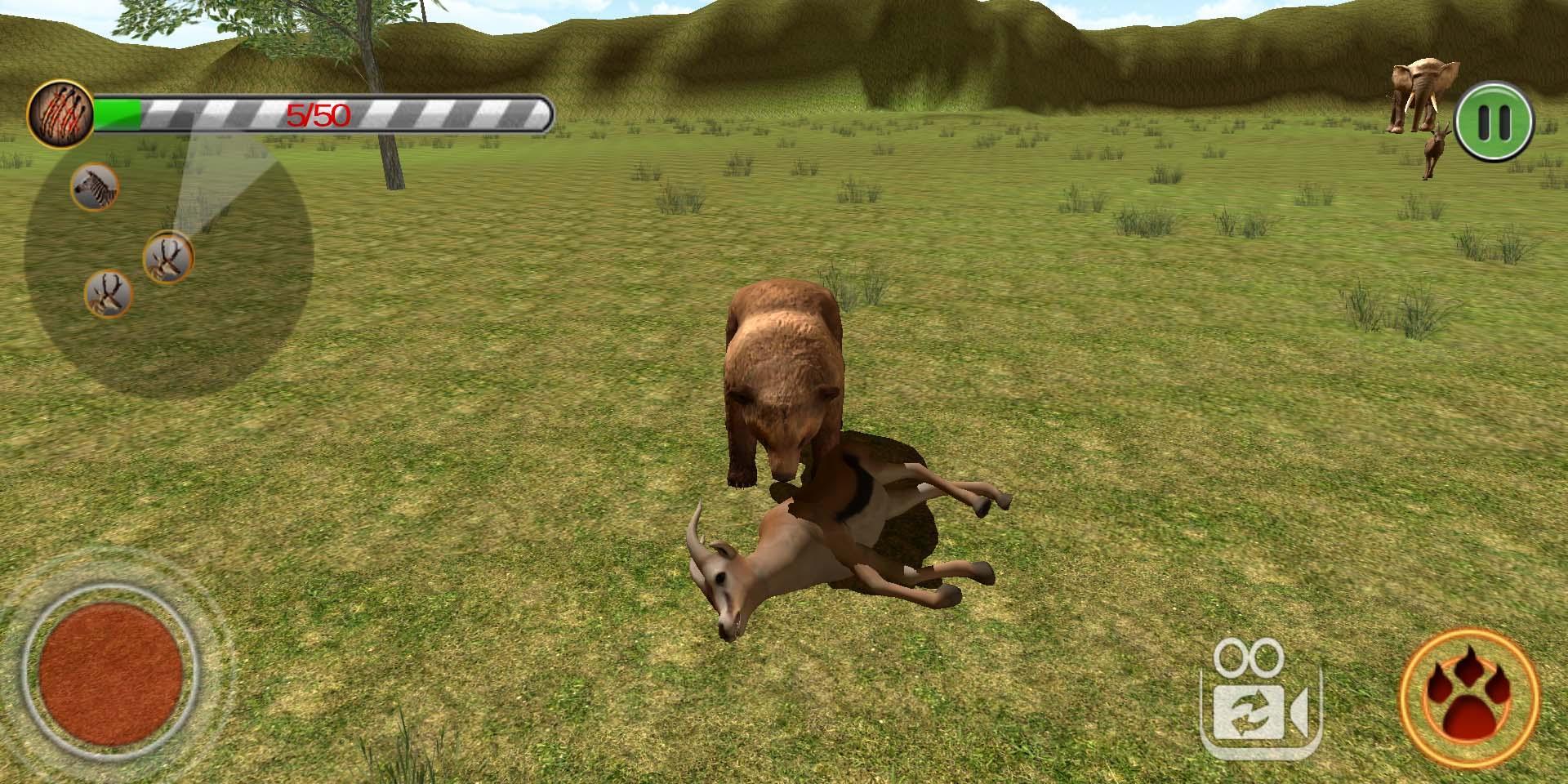 bear hunting