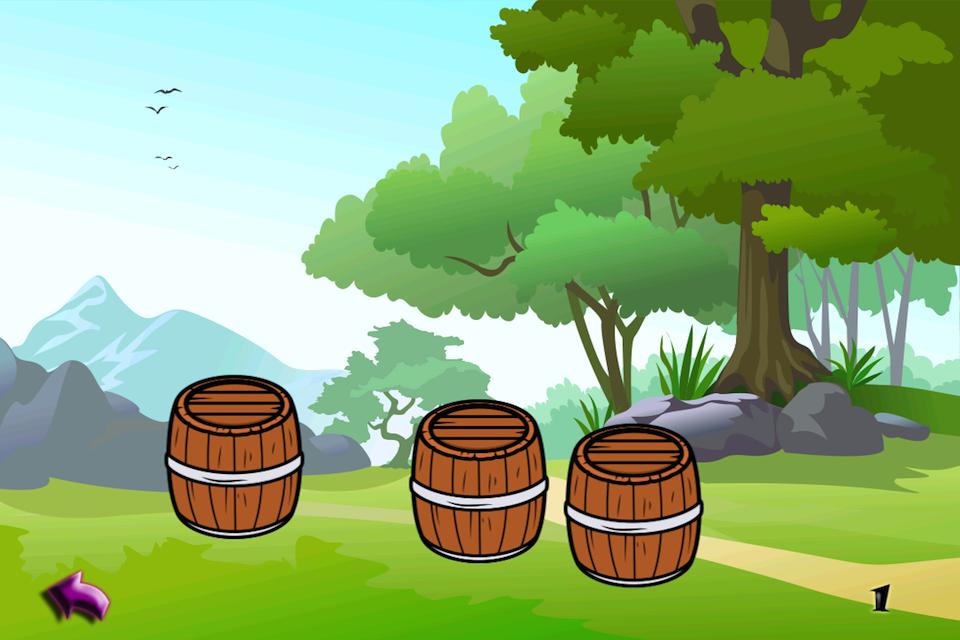 Pirate Treasure Hunt Madness
